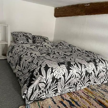 Appartement De Caractere Au Coeur Du Centre-Ville Montpellier Eksteriør billede