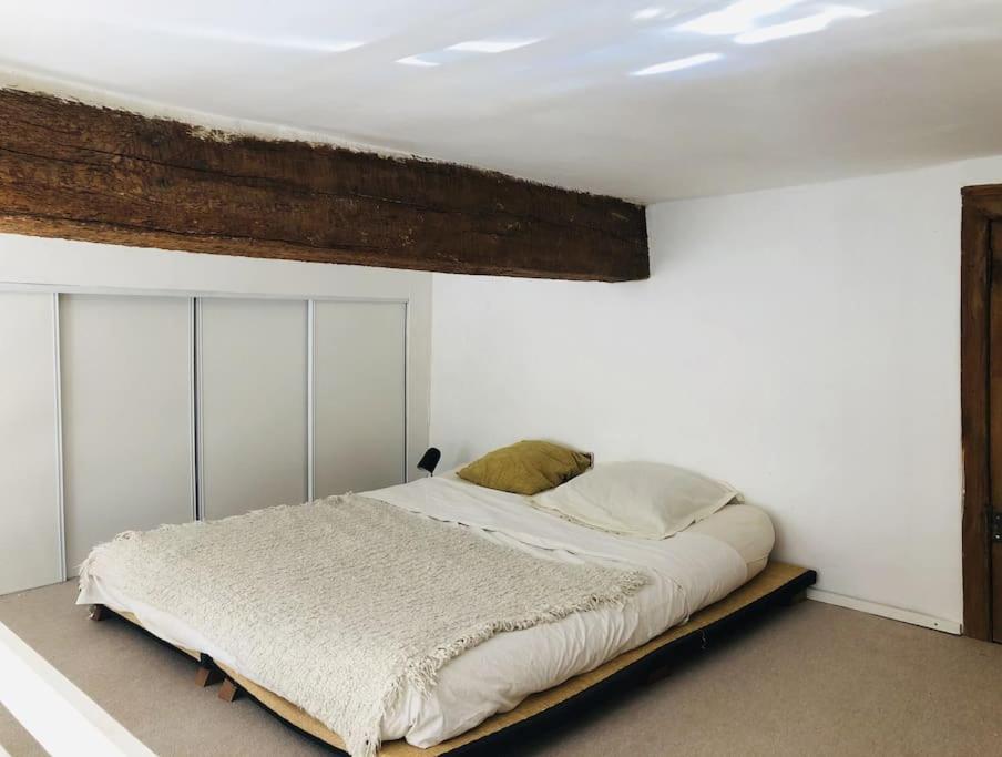 Appartement De Caractere Au Coeur Du Centre-Ville Montpellier Eksteriør billede