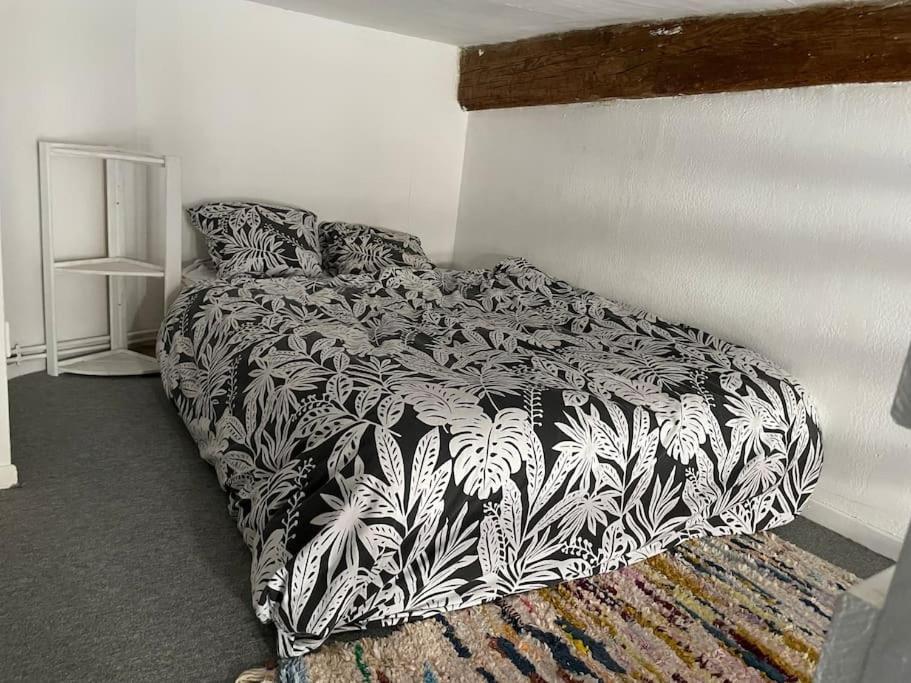 Appartement De Caractere Au Coeur Du Centre-Ville Montpellier Eksteriør billede